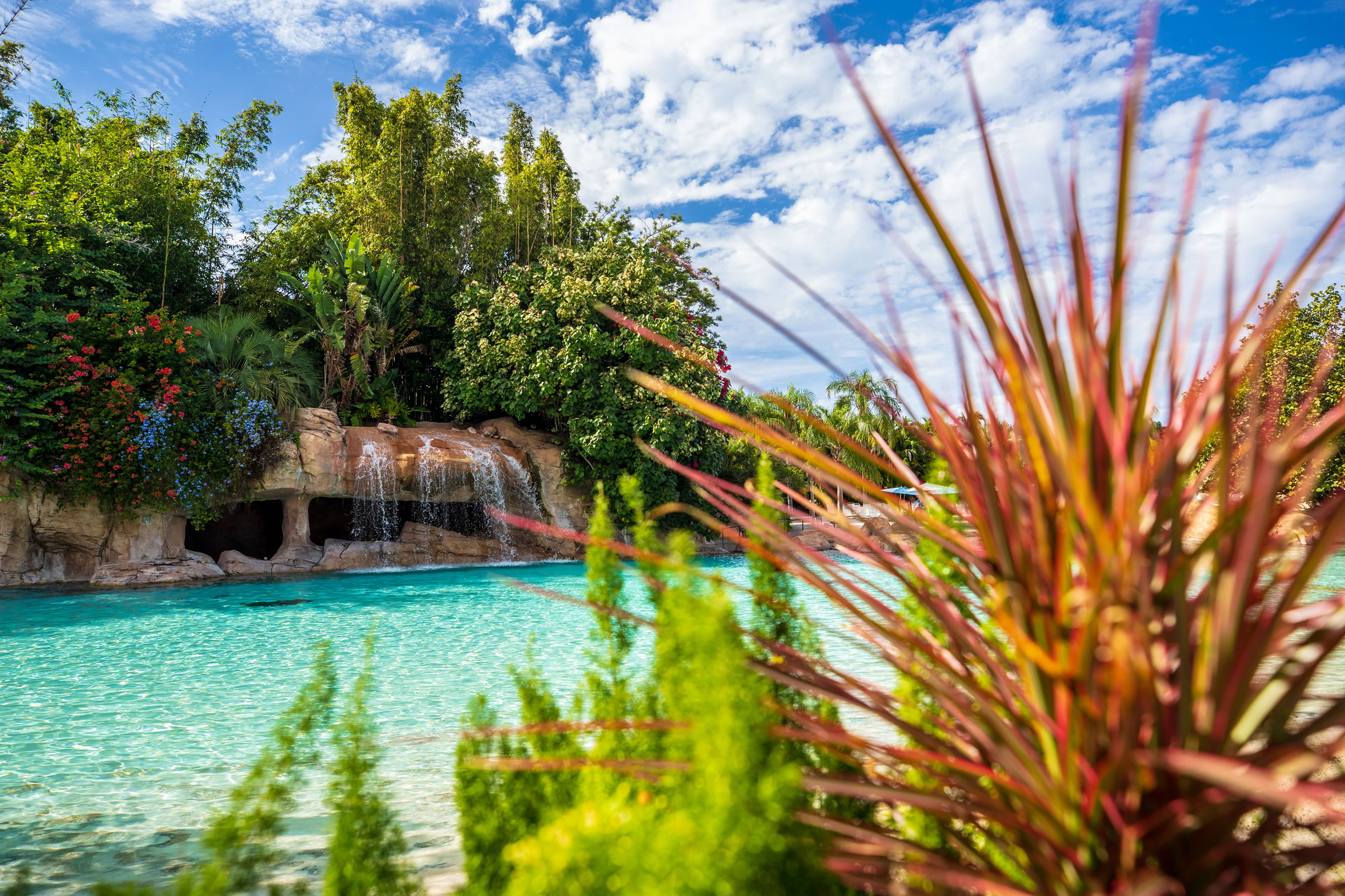 Discovery Cove Inclusive Experience Academy Travel 