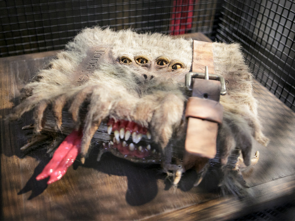 A monster book with four eyes available at The Wizarding World of Harry Potter.