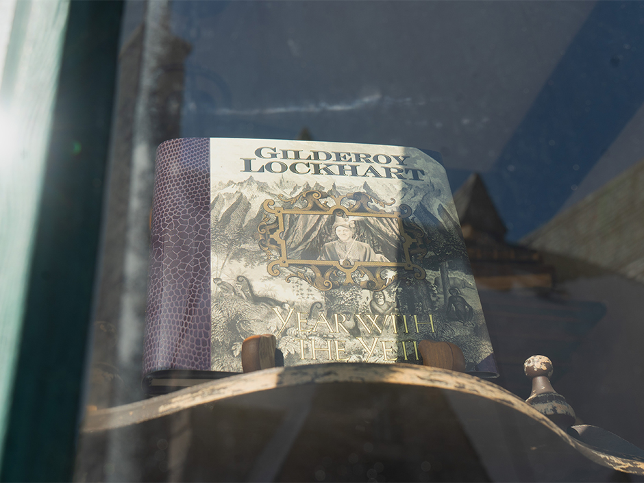 Gilderoy Lockhart's book in The Wizarding World of Harry Potter.