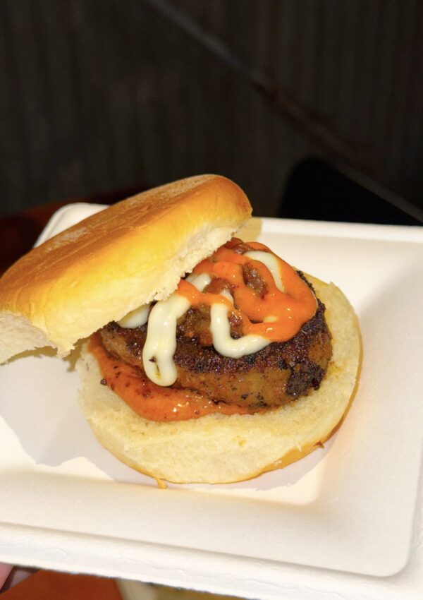 Jollywood Nights: Your Complete Guide to Hollywood Studios’ Glitziest Holiday Party