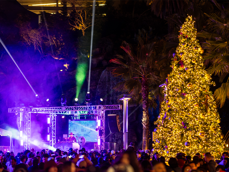 DJ set in front of a Christmas tree at EVE.