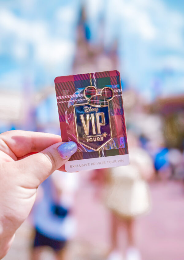 Save 20% on a Private VIP Tour