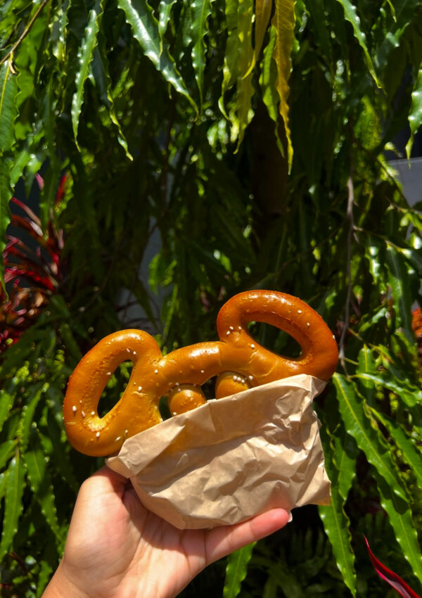 Disney Visa Cardmembers Get FREE Dining at Walt Disney World