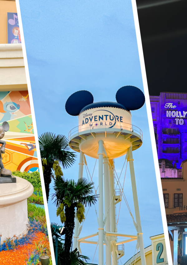 Disney Adventure World at Disneyland Paris: Explore the Magical World of Frozen and More