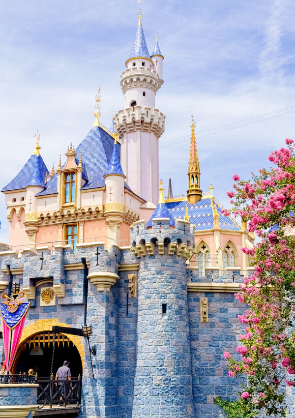 2027 Disneyland Vacations Are Now Open for Booking!