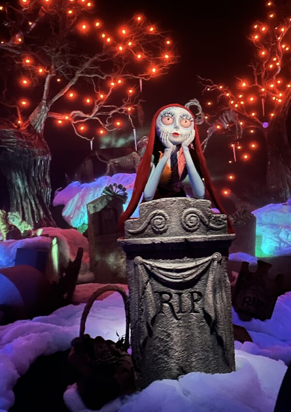 Haunted Mansion Holiday: The Disneyland Experience Disney Fans Shouldn’t Miss